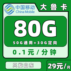山东移动大鲁卡29元月租+80G流量+3个亲情号（只发山东、首充100元）