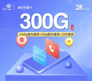 潍坊联通专属流量卡 28 元享 300G 超大流量 + 300 分钟通话